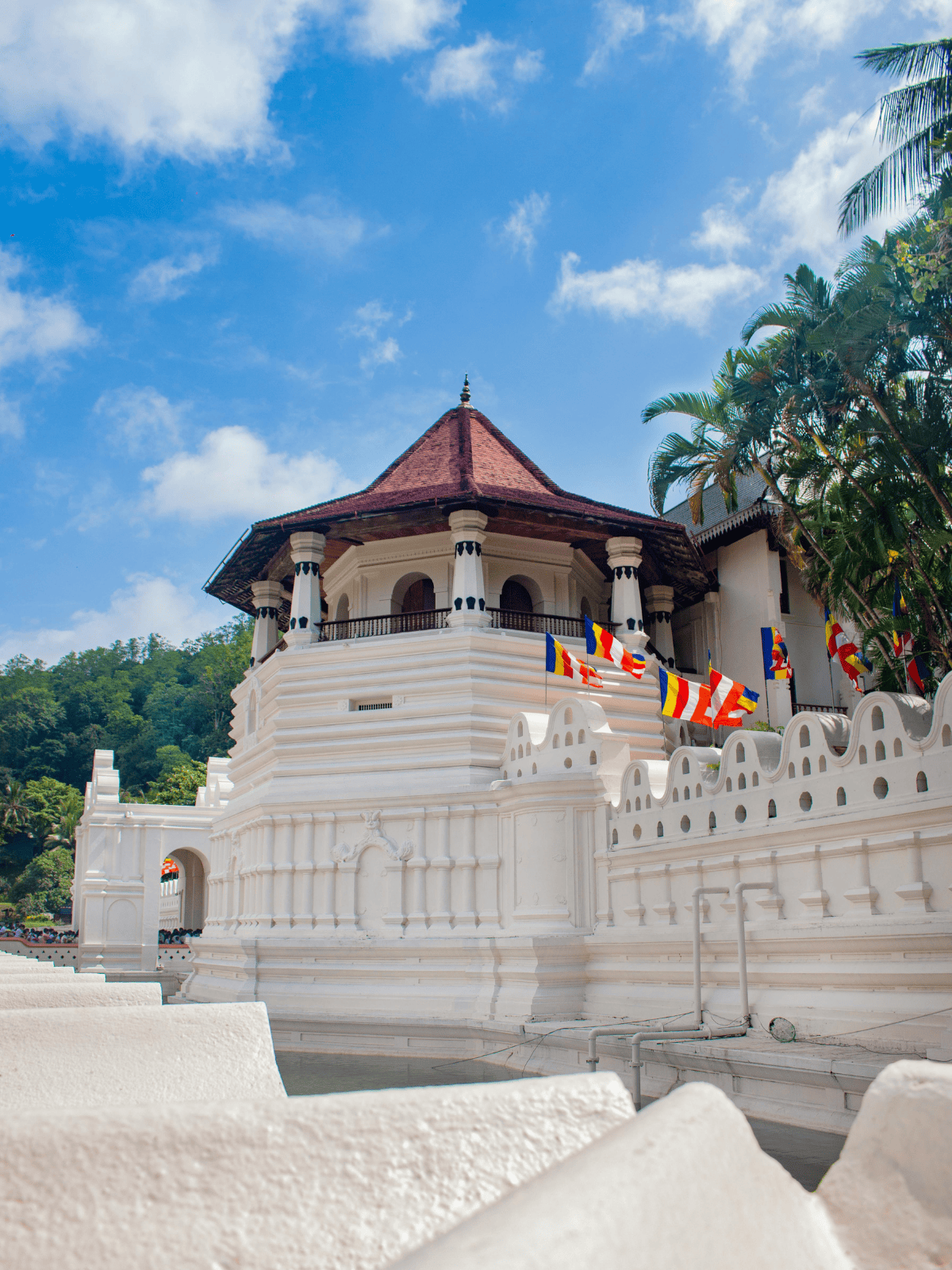 Ancient History & Culture