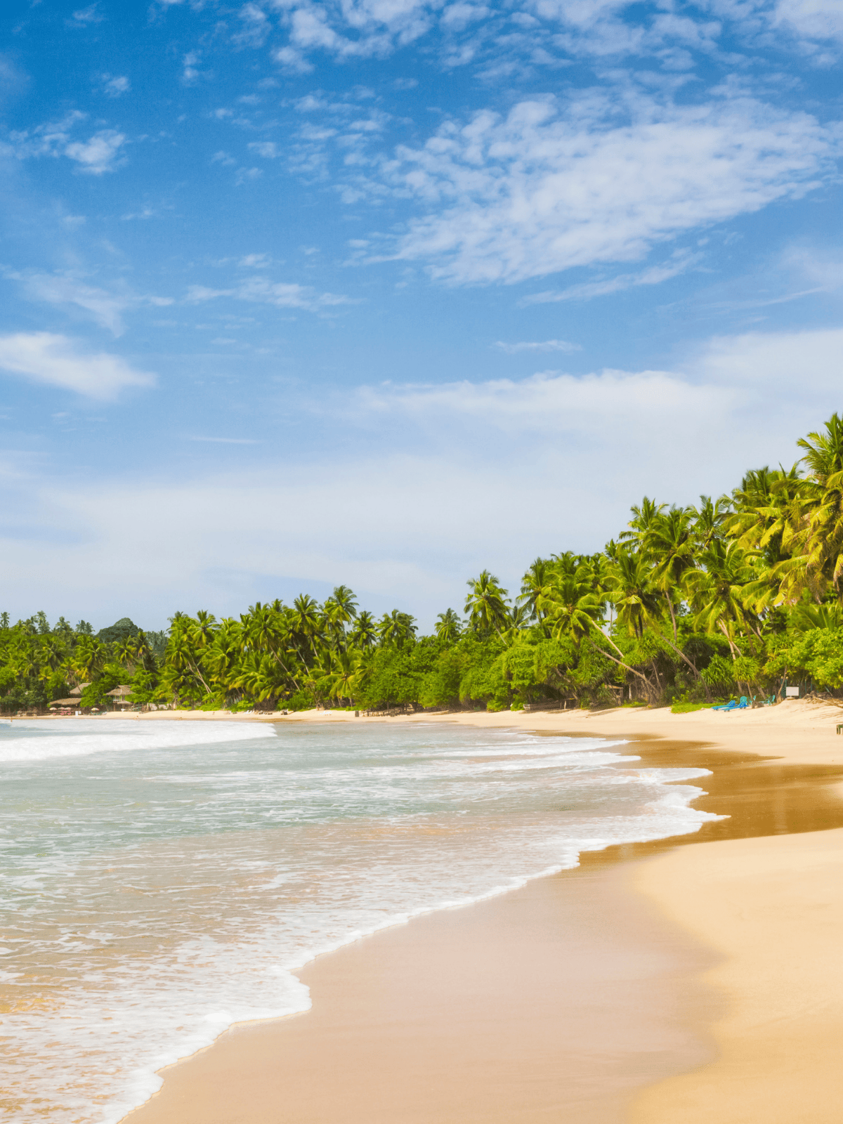 Sun-Kissed Beaches & Coastline (1)